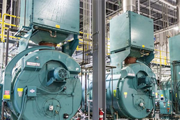 steam boiler in dairy processing plant